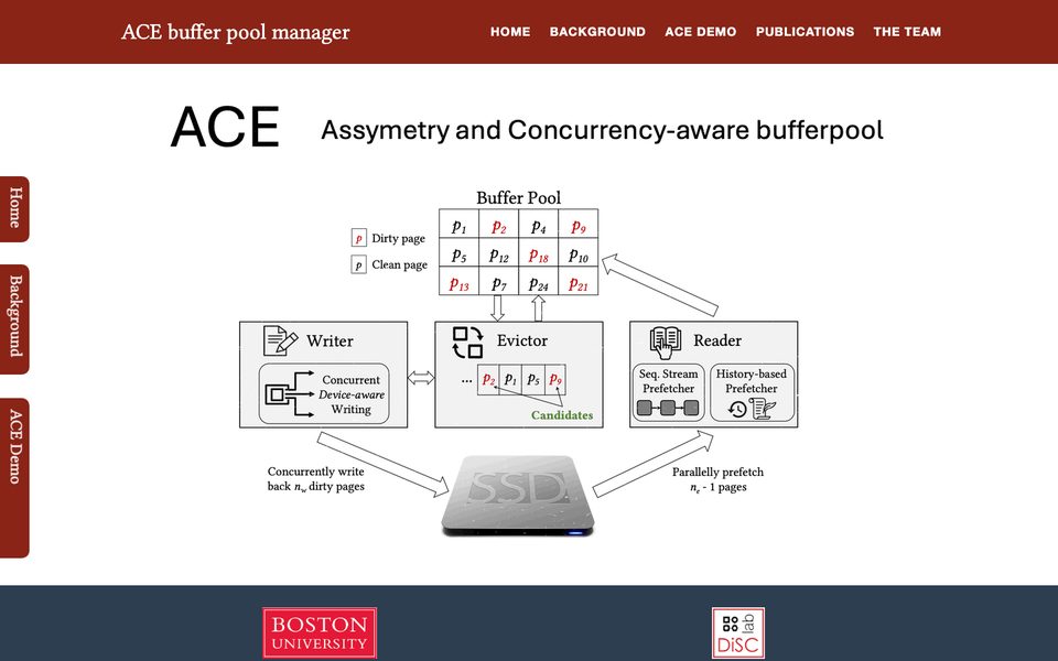 Screenshot of the ACE buffer pool manager demo