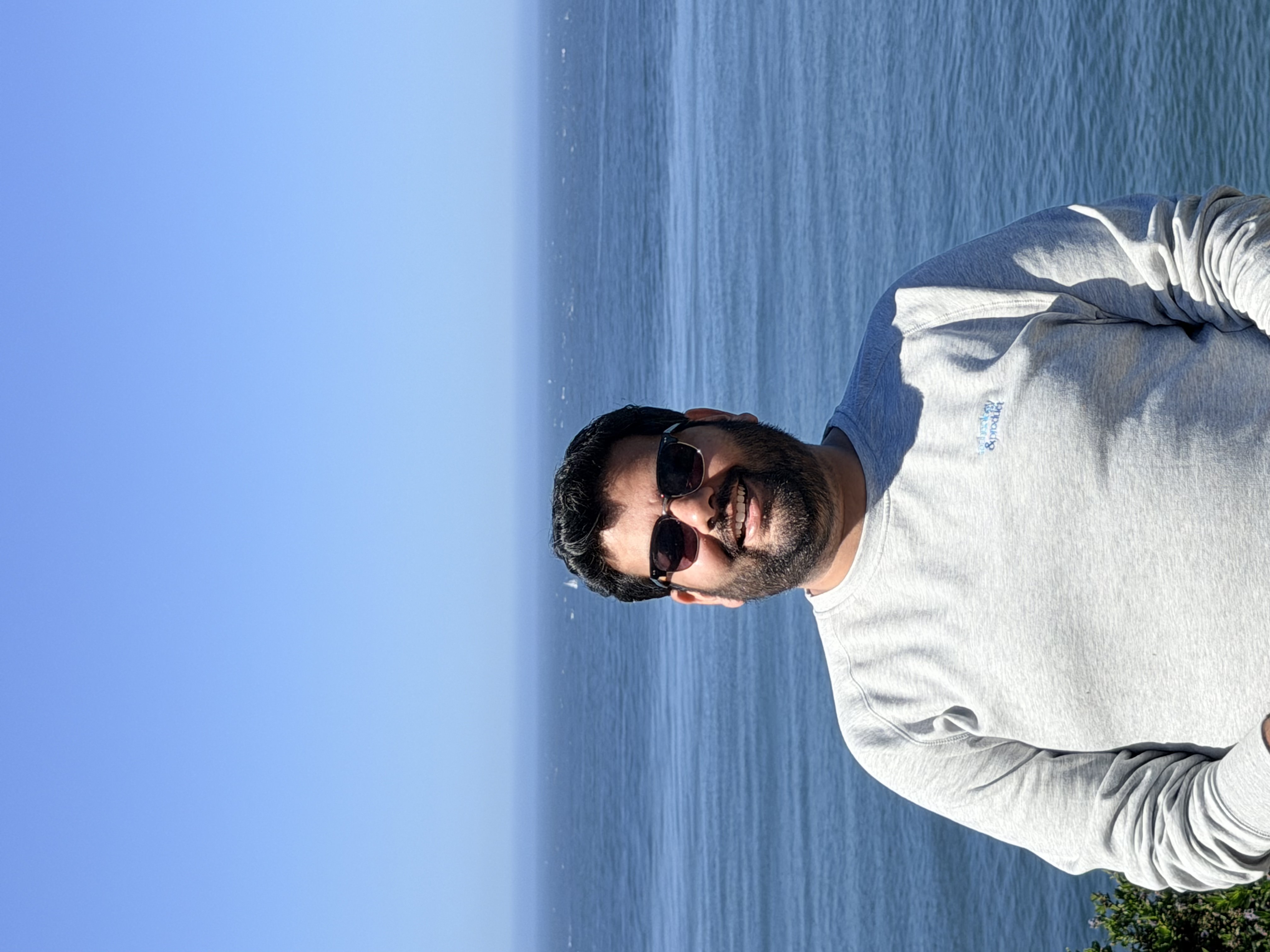 Aneesh Raman
